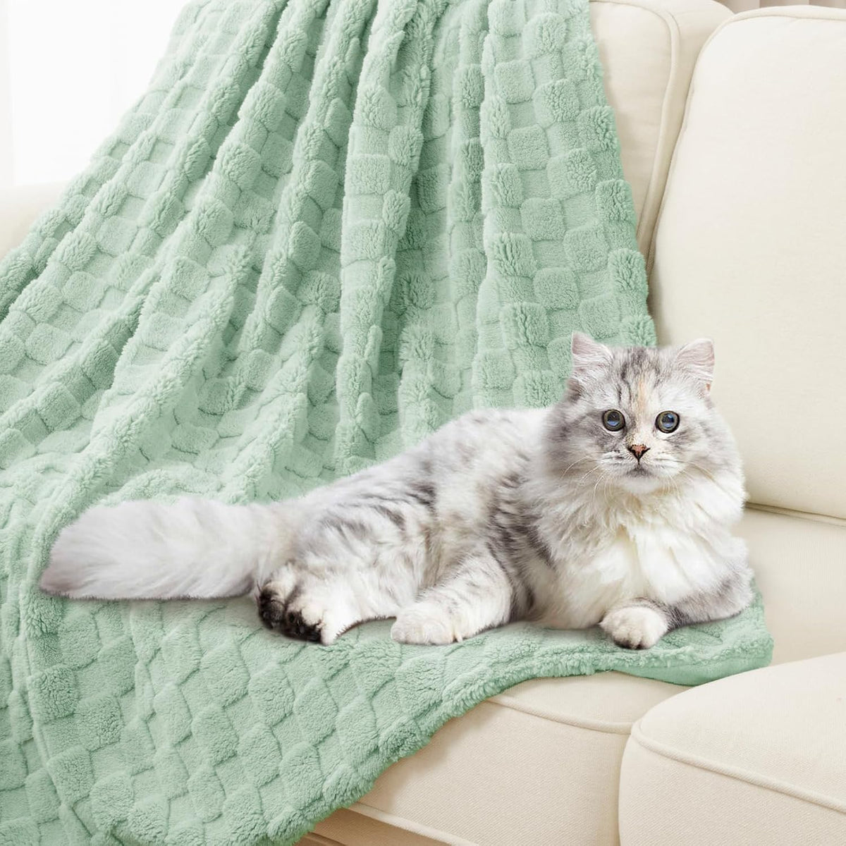 Enyhom Cuddly Fleece Blanket 228 x 228 cm, Double-Sided Soft Fluffy Sofa Blanket, Warm Plush Jacquard Blanket for Couch, Room, Decoration, Living Cuddly Blankets, Green
