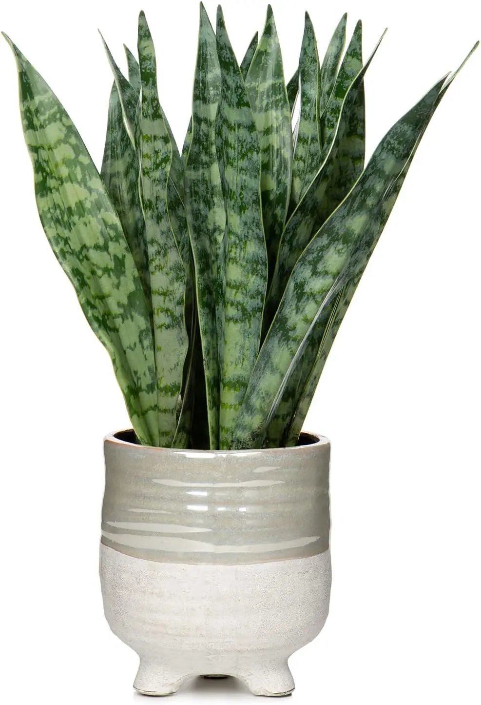 Plantă artificială Sansevieria în ghiveci ceramic, 31 cm, pentru interior și exterior