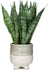 Plantă artificială Sansevieria în ghiveci ceramic, 31 cm, pentru interior și exterior