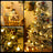 Ghirlanda luminoasa decorativa 5 m, 50 LED glob, 8 moduri si telecomanda, IP44, alb cald